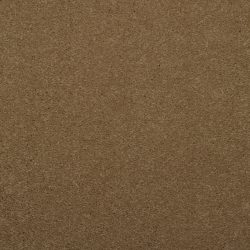 Dixie Home Carpet Enthralled G5224 27501
