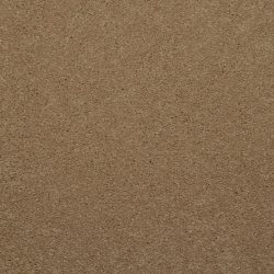 Dixie Home Carpet Enthralled G5224 27507