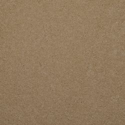 Dixie Home Carpet Enthralled G5224 27508