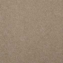 Dixie Home Carpet Enthralled G5224 27510