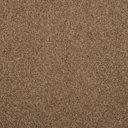 Dixie Home Carpet Enthralled G5224 27511