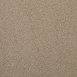 Dixie Home Carpet Enthralled G5224 27514