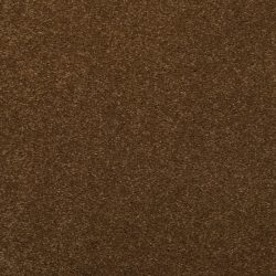 Dixie Home Carpet Enthralled G5224 37500
