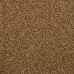 Dixie Home Carpet Enthralled G5224 47505