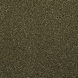 Dixie Home Carpet Enthralled G5224 57512