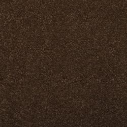 Dixie Home Carpet Enthralled G5224 77506