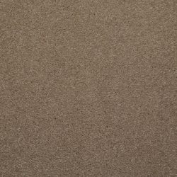 Dixie Home Carpet Enthralled G5224 77513