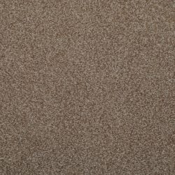 Dixie Home Carpet Enthralled G5224 77517