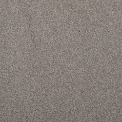 Dixie Home Carpet Enthralled G5224 87516