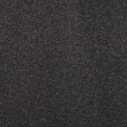 Dixie Home Carpet Enthralled G5224 87519