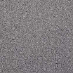 Dixie Home Carpet Enthralled G5224 87520