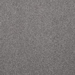 Dixie Home Carpet Enthralled G5224 87522
