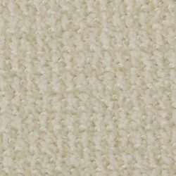 Dixie Home Carpet Boston Common G5226 18514