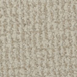 Dixie Home Carpet Boston Common G5226 18519