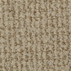 Dixie Home Carpet Boston Common G5226 38517