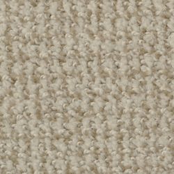 Dixie Home Carpet Boston Common G5226 38518