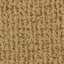 Dixie Home Carpet Boston Common G5226 48504