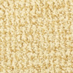 Dixie Home Carpet Boston Common G5226 48505