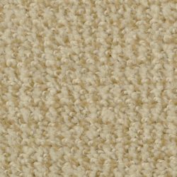Dixie Home Carpet Boston Common G5226 48506