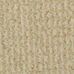 Dixie Home Carpet Boston Common G5226 48507