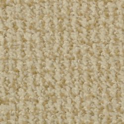 Dixie Home Carpet Boston Common G5226 48510