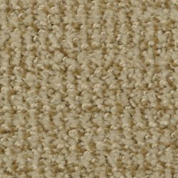 Dixie Home Carpet Boston Common G5226 50509