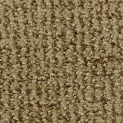 Dixie Home Carpet Boston Common G5226 58508