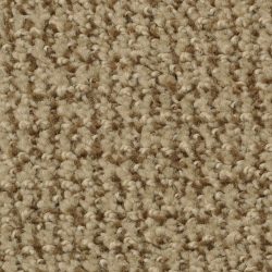 Dixie Home Carpet Boston Common G5226 78512