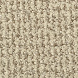Dixie Home Carpet Boston Common G5226 88516