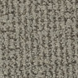 Dixie Home Carpet Boston Common G5226 88521