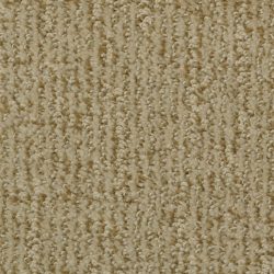 Dixie Home Carpet Cape Cod  G5227 58509