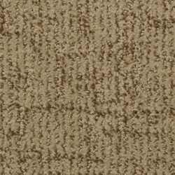 Dixie Home Carpet Cape Cod  G5227 78512