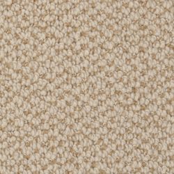 Dixie Home Carpet Authentic Living G5229 27203