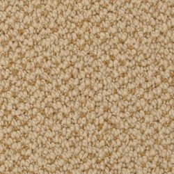 Dixie Home Carpet Authentic Living G5229 27210