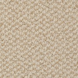 Dixie Home Carpet Authentic Living G5229 27211