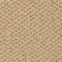 Dixie Home Carpet Authentic Living G5229 27219