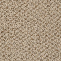 Dixie Home Carpet Authentic Living G5229 27229
