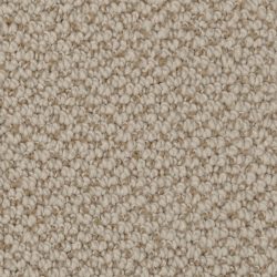 Dixie Home Carpet Authentic Living G5229 27235
