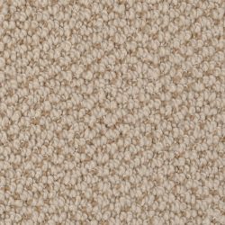 Dixie Home Carpet Authentic Living G5229 37320