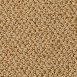 Dixie Home Carpet Authentic Living G5229 37321