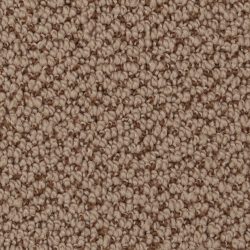 Dixie Home Carpet Authentic Living G5229 37328