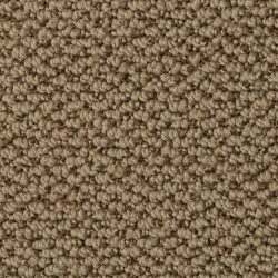 Dixie Home Carpet Authentic Living G5229 37337