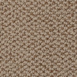 Dixie Home Carpet Authentic Living G5229 37341