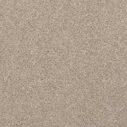 Dixie Home Carpet Alluring G5232 21238