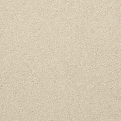 Dixie Home Carpet Alluring G5232 25136