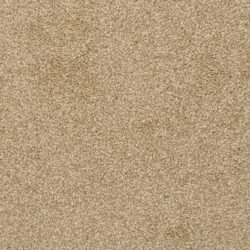 Dixie Home Carpet Alluring G5232 25200