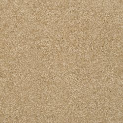 Dixie Home Carpet Alluring G5232 25210