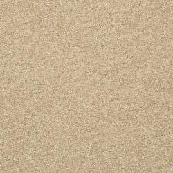 Dixie Home Carpet Alluring G5232 25220