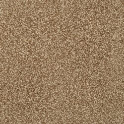 Dixie Home Carpet Alluring G5232 25775