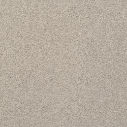 Dixie Home Carpet Alluring G5232 61289